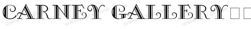 CARNEY GALLERY字体转换